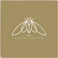 cicada rhythm: Cicada Rhythm - Vinyl