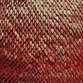 Kill the Vultures: Carnelian  ( CD )
