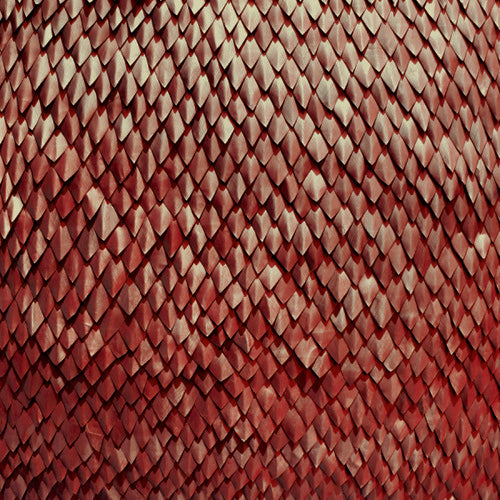 Kill the Vultures: Carnelian  ( CD )
