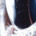 Roly Porter: Third Law - Vinyl