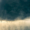 Oneirogen: Convivium  ( CD )