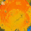 Run River North: Drinking from a Salt Pond - VINYL