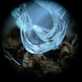 Ossicles: Mantelpiece - CD