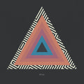 Tycho: Awake Remix - Vinyl