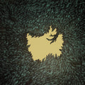 Hop Along: Get Disowned - VINYL