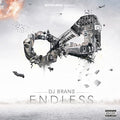 DJ Brans: Endless - Vinyl