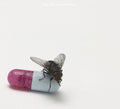 Red Hot Chili Peppers: I'm with You - VINYL