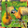 David Burgess: Silver Nuggets & Fool's Gold  ( CD )
