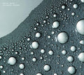 Marvin Ayres: Circadian Rhythms  ( CD )