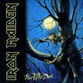 Iron Maiden - Fear Of The Dark ( VINYL )
