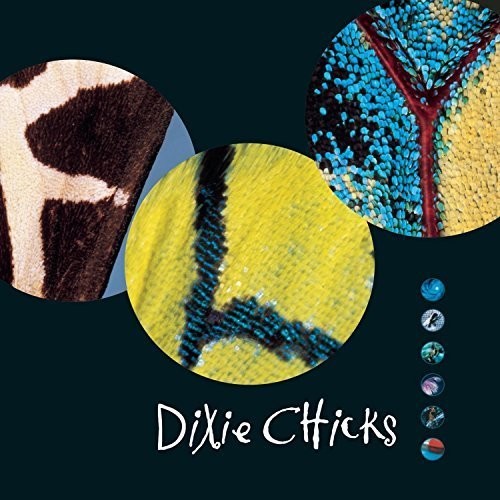 The Chicks: Fly - Vinyl