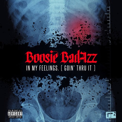 Boosie Badazz: In My Feelings (Goin' Thru It)  ( CD )