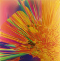 JMSN: It Is - VINYL
