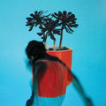 Local Natives: Sunlit Youth - CD