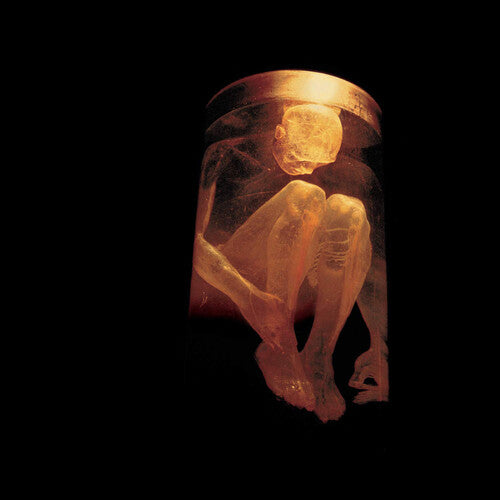 Alice in Chains: Nothing Safe: Best of - CD