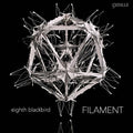 Dessner / Eighth Blackbird: Filament - Vinyl