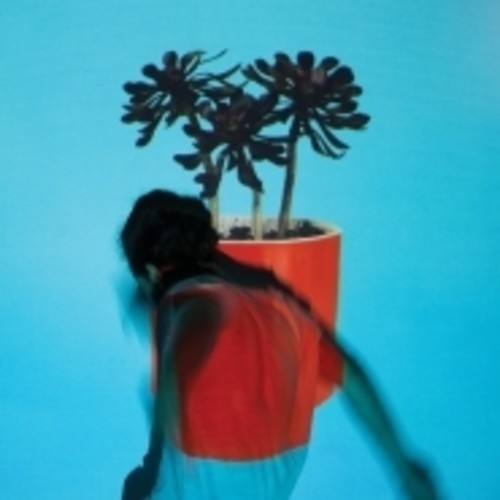 Local Natives: Sunlit Youth - VINYL