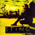 Sting: Ten Summoner's Tales - VINYL