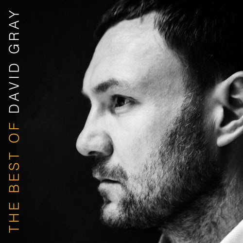 David Gray: The Best Of David Gray - VINYL