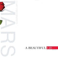 Thirty Seconds to Mars: A Beautiful Lie - VINYL