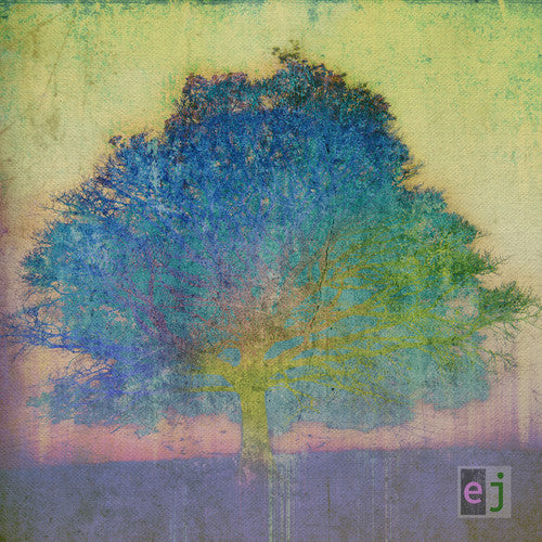 Eric Johnson: EJ  ( CD )