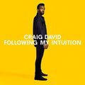Craig David: Following My Intuition - VINYL