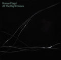 Roman Flugel: All The Right Noises - Vinyl