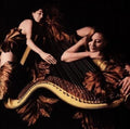Ring / Various: Soul To The Pleasure - CD