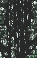 Burma Camp: Burma Camp - CASSETTES