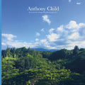 Anthony Child: Electronic Recordings From Maui Jungle 2 - Vinyl