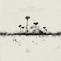 Luciano: Great Amael (remixes) - 12-INCH SINGLE