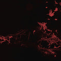 Svarte Greiner: Moss Garden - Vinyl