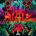 Psychemagik: Ritual Chants: Love - Vinyl