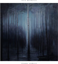 Ilya Beshevli: Wanderer Remixes - Vinyl