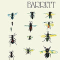 Syd Barrett: Barrett - CD