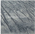 Steve Jansen: Tender Extinction - Vinyl