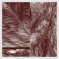 Lettera 22: Legacy Map - 7-INCH SINGLE