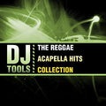 DJ Tools: Reggae Acapella Hits Collection - CD