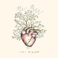 Lori McKenna: Tree  ( CD )