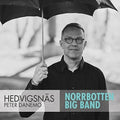 Danemo / Norrbotten Big Band: Hedvigsnas: Composer in Residence - CD