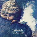 Nathan Bowles: A bottle, A buckeye - Vinyl