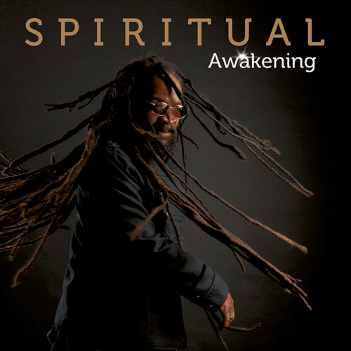 SpiRitual: Awakening - VINYL