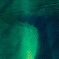 Grosse, Katharina / Schneider, Stefan: Tiergarten - Vinyl