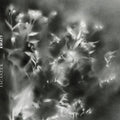 Jacaszek: KWIATY - Vinyl