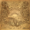 Drew Holcomb & the Neighbors: Souvenir  ( CD )