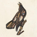 Clutch: Book Of Bad Decisions - VINYL