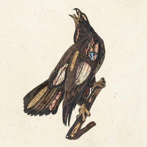 Clutch: Book Of Bad Decisions - VINYL