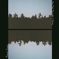 Maggie Rogers: Now That The Light Is Fading - VINYL