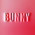 Matthew Dear: Bunny - VINYL
