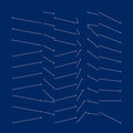 Scald Rougish: Idioal Oifrmech - Vinyl